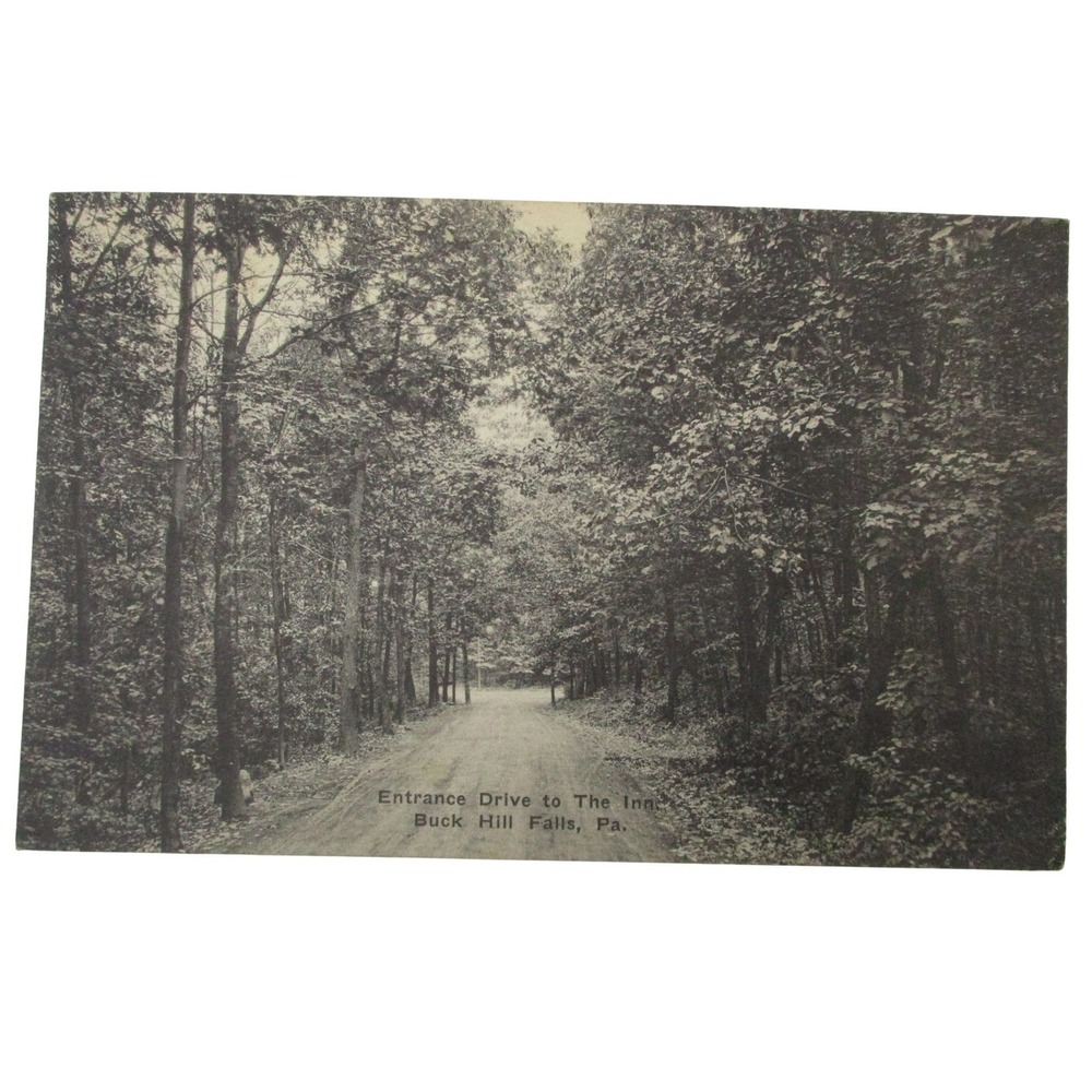 Vintage 1936 Postcard Entrance Drive to The‎ Inn Buck Hill Falls PA Albertype Co